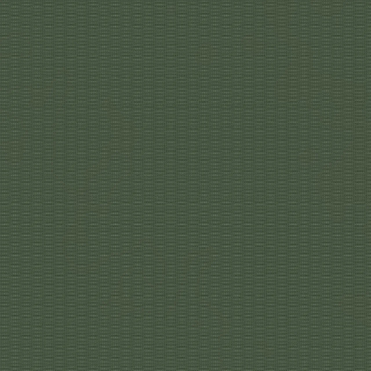 VELUX Verdunkelungsrollo Nature-DKYC024901SM